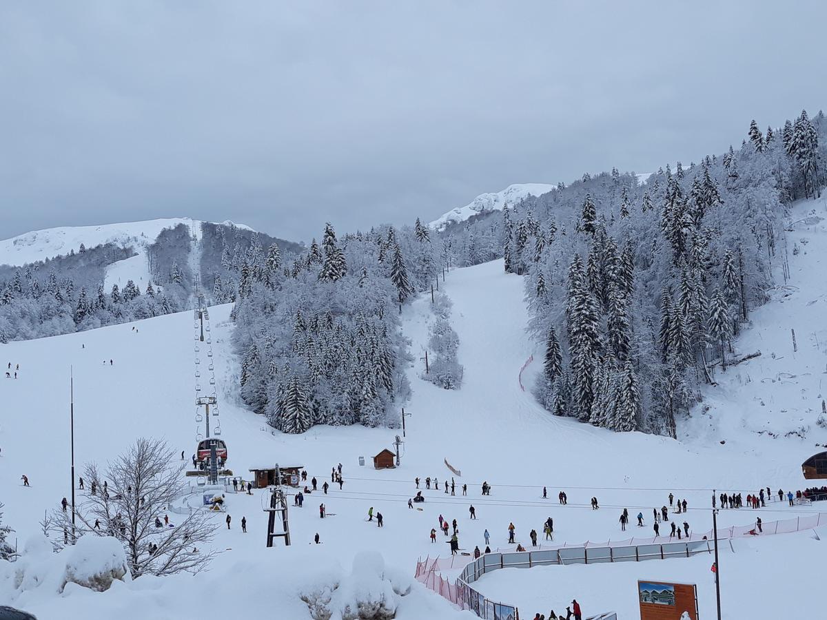 Breza Lux Loža